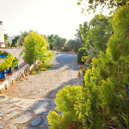 Cuevas De Rolando Pensionat Guadix Exteriör bild