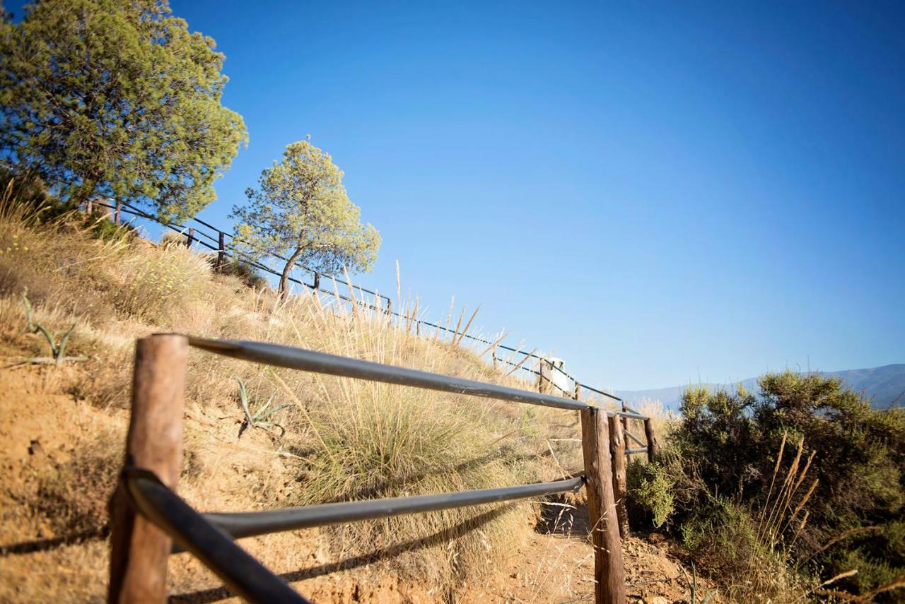 Cuevas De Rolando Pensionat Guadix Exteriör bild